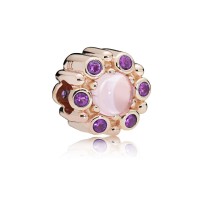Pandora Charm-Heraldic Radiance-Rose-Pink-Purple Crystals Outlet Pandora Charm-Heraldic Radiance-Rose-Pink-Purple Crystals Outlet