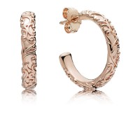 Pandora Earring-Regal Beauty Hoop-Rose Outlet Pandora Earring-Regal Beauty Hoop-Rose Outlet