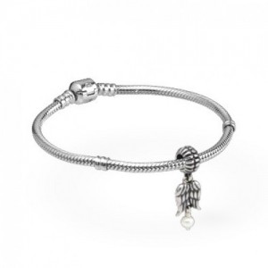 Pandora Bracelet-Angel Wings Angels Complete-Silver Outlet