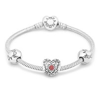 Pandora Bracelet-January Birthstone Birthstone Complete Outlet Pandora Bracelet-January Birthstone Birthstone Complete Outlet