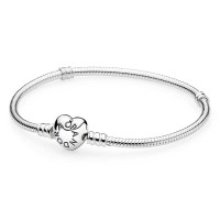 Pandora Bracelet-Oriental Orchid Floral Complete-Clear CZ Outlet Pandora Bracelet-Oriental Orchid Floral Complete-Clear CZ Outlet