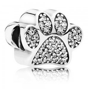 Pandora Bracelet-Curious Cat Complete Animal Outlet