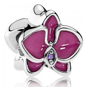 Pandora Bracelet-Elegant Orchid Floral Complete Outlet