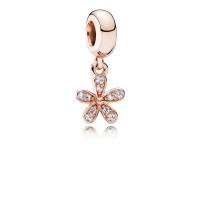 Pandora Charm-Dazzling Daisy-Rose Clear CZ Outlet Pandora Charm-Dazzling Daisy-Rose Clear CZ Outlet