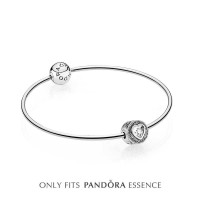 Pandora Bracelet-Silver Passion Bangle Love Complete Outlet Pandora Bracelet-Silver Passion Bangle Love Complete Outlet
