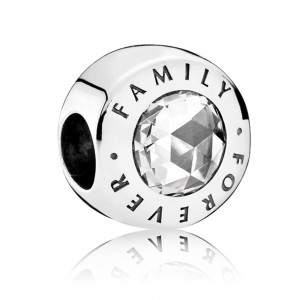 Pandora Charm-Forever Family-Silver Outlet