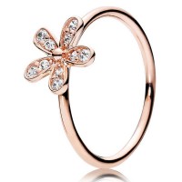 Pandora Ring-Dazzling Daisy Floral-Pave CZ-Rose Gold Outlet Pandora Ring-Dazzling Daisy Floral-Pave CZ-Rose Gold Outlet