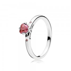 Pandora Ring-You Me-Multi-Colored CZ 196574czrmx Outlet